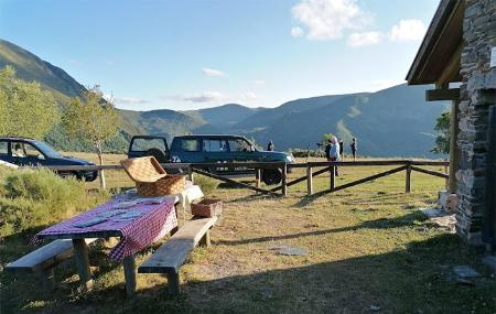 Imagen Avistamentos de ursos pardos da Cantábria