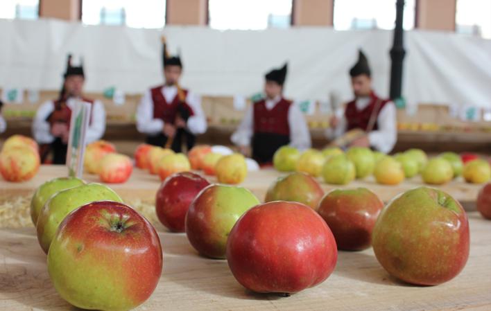 Aller à Image Festival de la Pomme