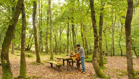 Imagen Escursioni in famiglia: 6 itinerari con aree ricreative nelle Asturie